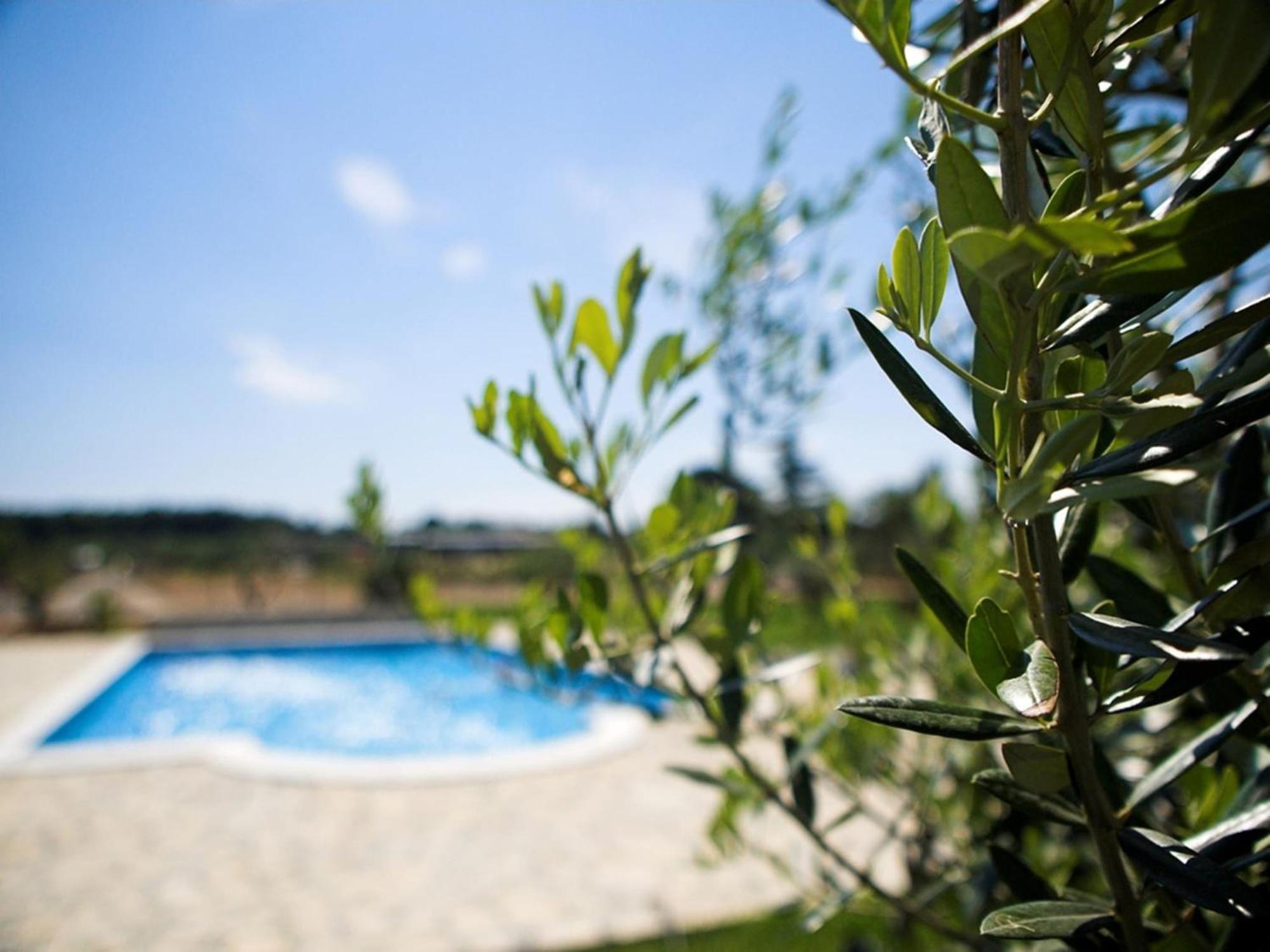 Marceta - Apartments & Rooms With Swimming Pool Fazana Exterior photo